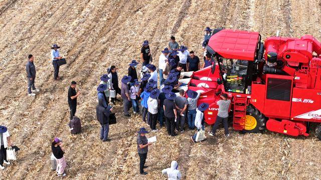 皇冠信用網_全国26家实验室参与皇冠信用網！由雷沃支持的这场“田间论剑”举行