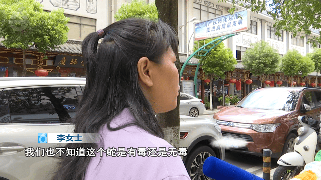 皇冠信用网怎么申请_太吓人！云南女子网购塑料凳皇冠信用网怎么申请，拆开竟发现一条蛇被胶带粘在椅子上！还在动