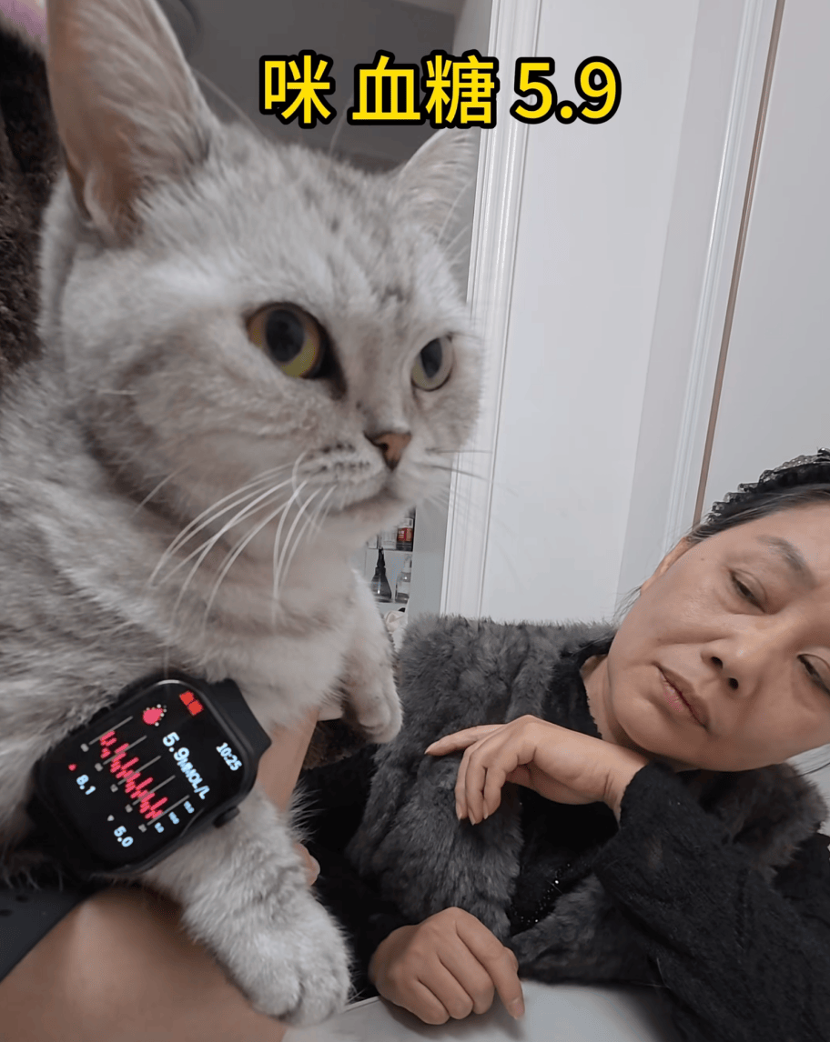 皇冠如何代理_父母花84元网购“神奇手表”皇冠如何代理，儿子发现能测万物：猫咪血糖5.9，吸尘器血糖7.4，父母：下次不买了